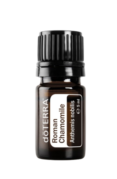 Roman Chamomile (Römische Kamille) Anthemis nobilis 5 ml. Flasche